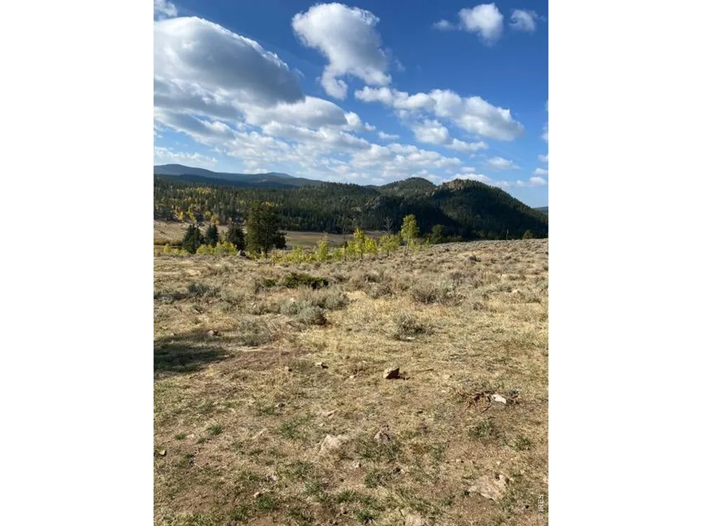 215 Murdock Drive Red Feather Lakes, CO 80545