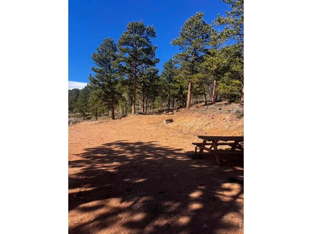 215 Murdock Drive Red Feather Lakes, CO 80545
