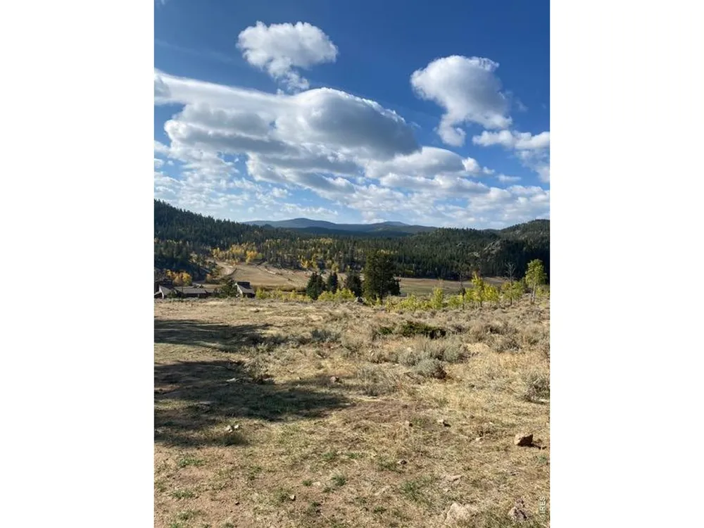 215 Murdock Drive Red Feather Lakes, CO 80545
