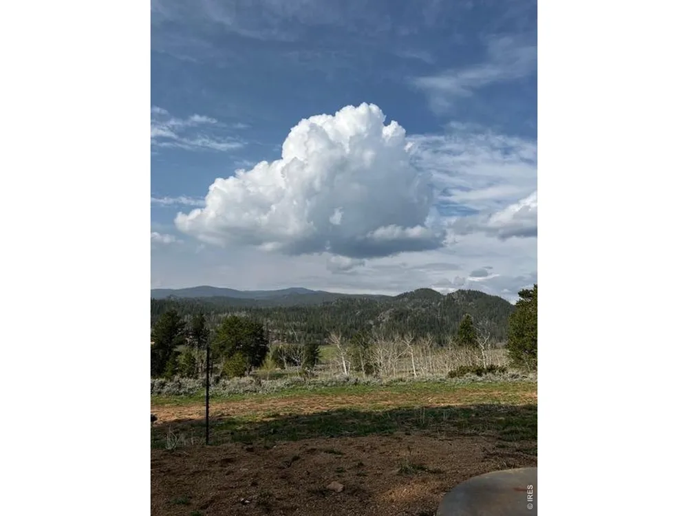 215 Murdock Drive Red Feather Lakes, CO 80545