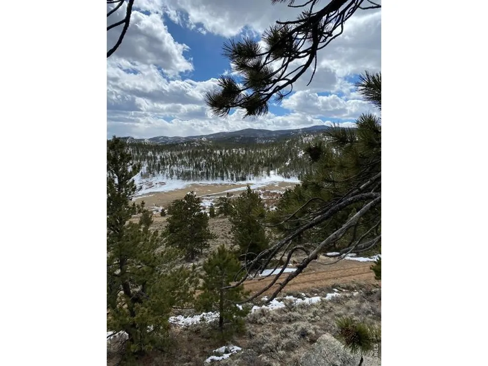 215 Murdock Drive Red Feather Lakes, CO 80545
