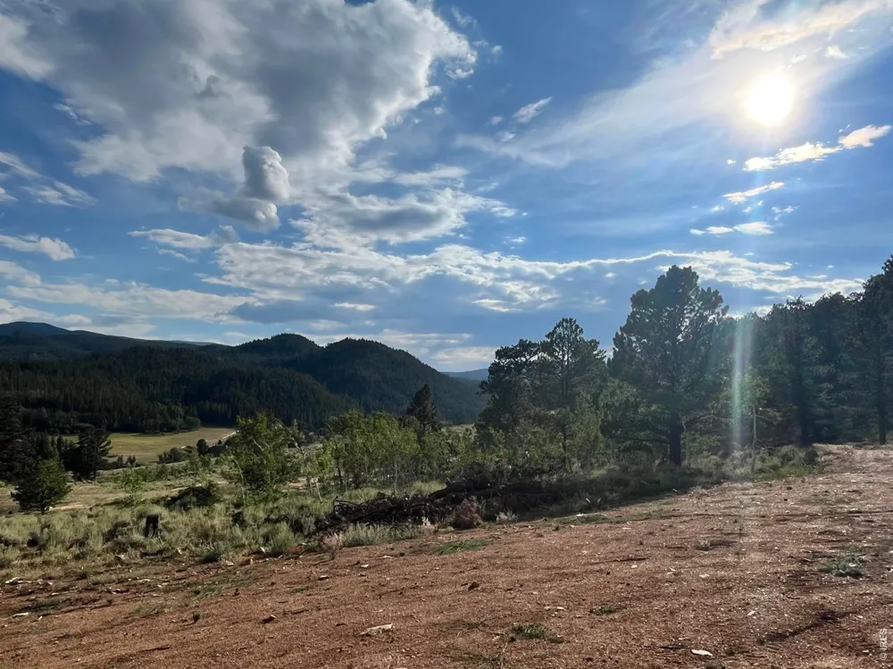 215 Murdock Drive Red Feather Lakes, CO 80545