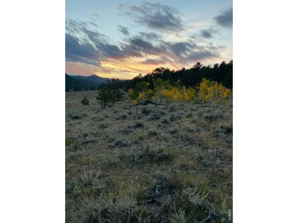 215 Murdock Drive Red Feather Lakes, CO 80545