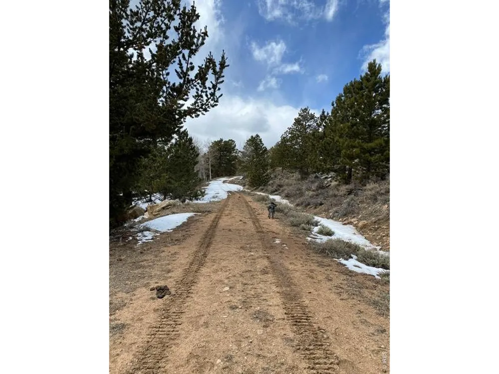 215 Murdock Drive Red Feather Lakes, CO 80545