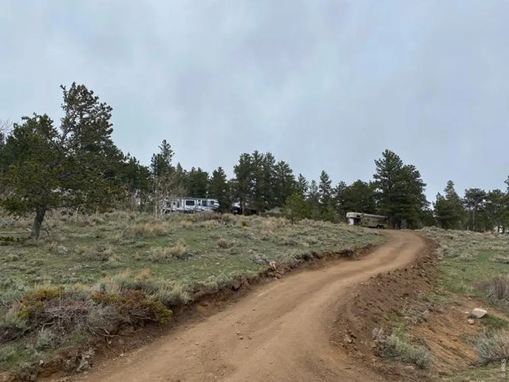 215 Murdock Drive Red Feather Lakes, CO 80545