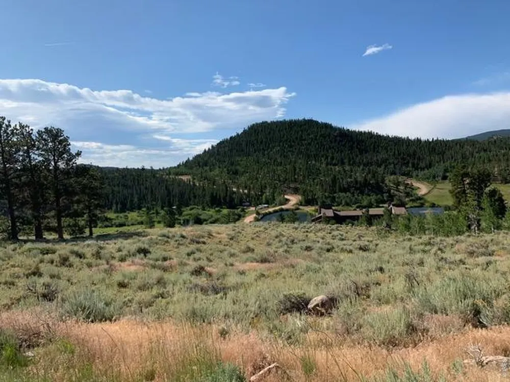 215 Murdock Drive Red Feather Lakes, CO 80545