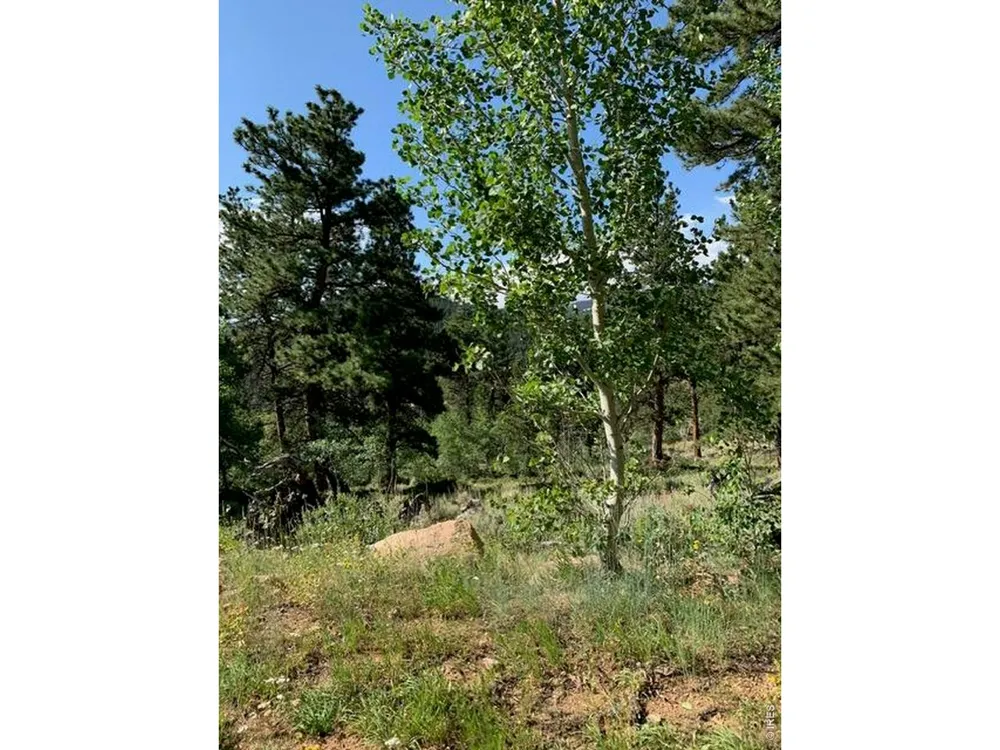 215 Murdock Drive Red Feather Lakes, CO 80545