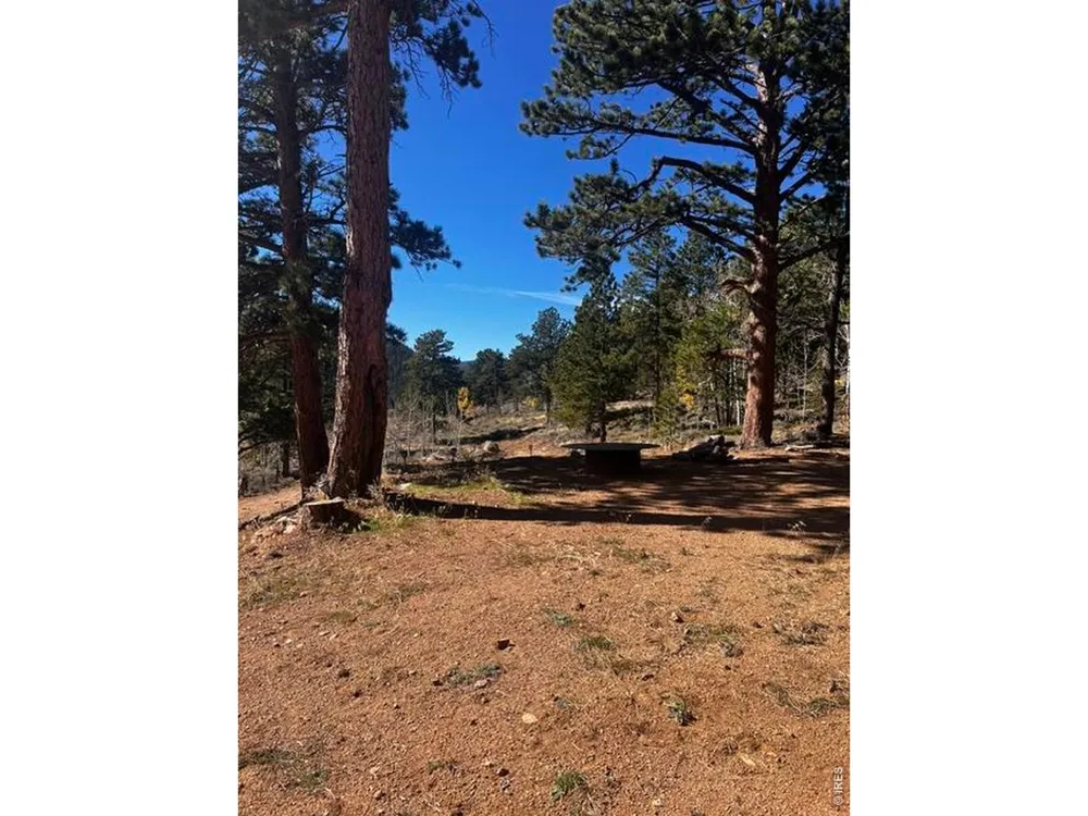 215 Murdock Drive Red Feather Lakes, CO 80545