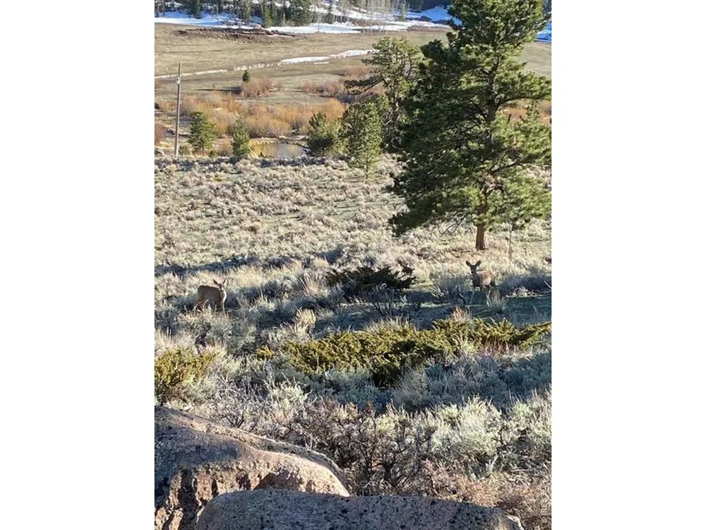 215 Murdock Drive Red Feather Lakes, CO 80545