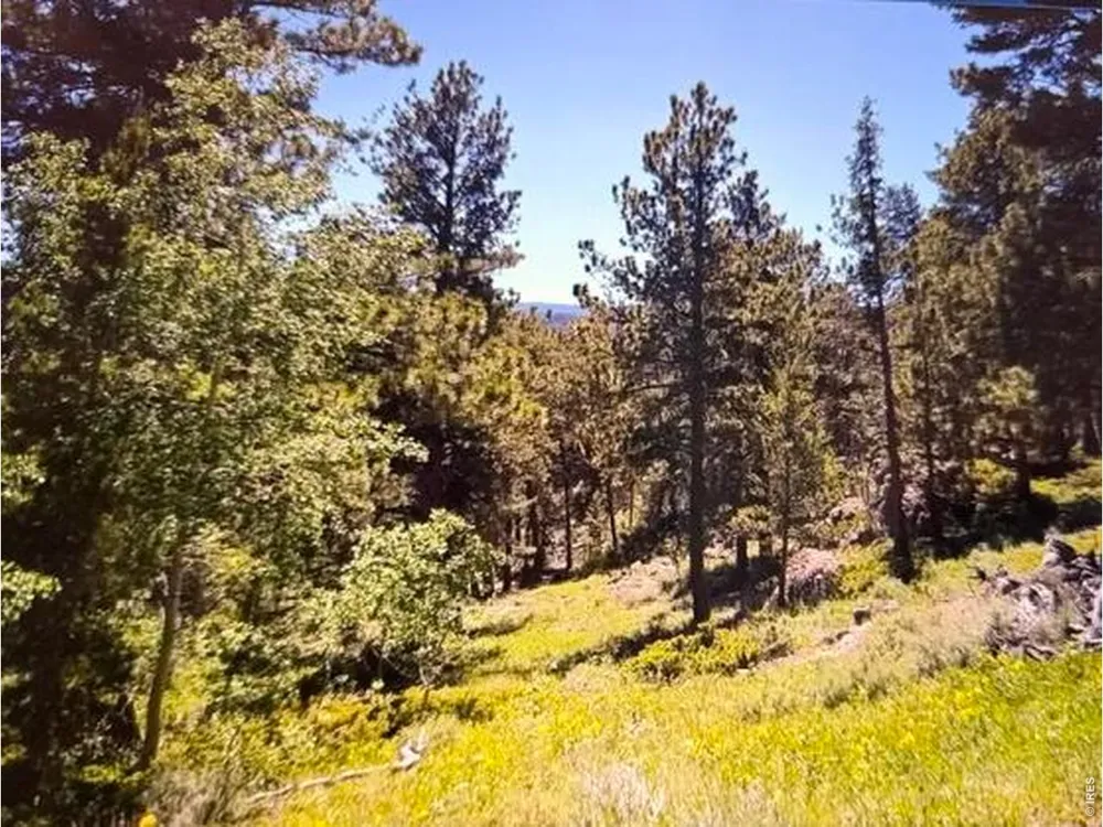 215 Murdock Drive Red Feather Lakes, CO 80545