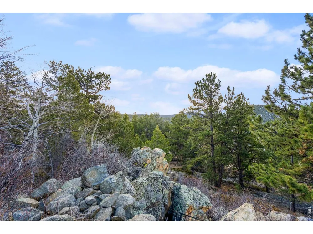 215 Murdock Drive Red Feather Lakes, CO 80545