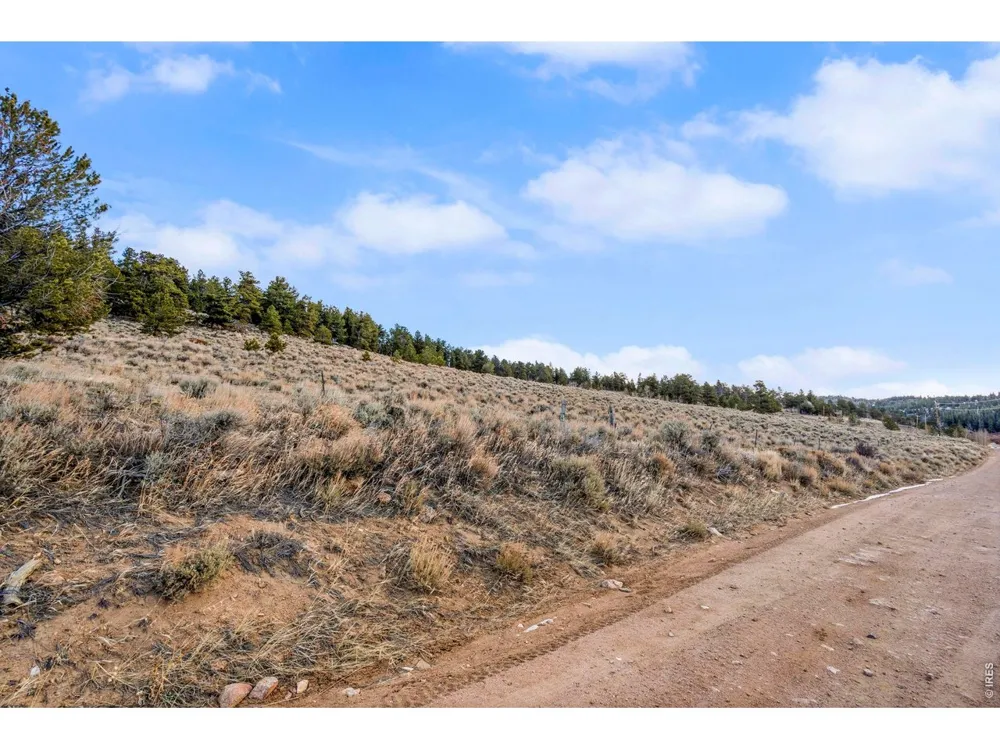 215 Murdock Drive Red Feather Lakes, CO 80545