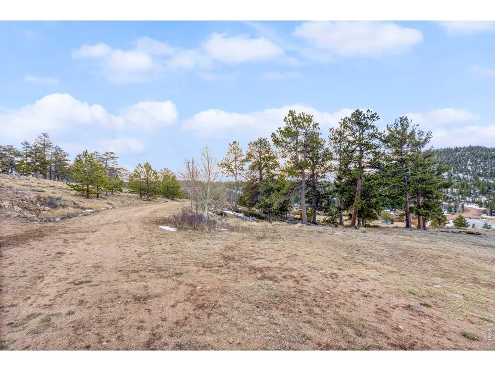 215 Murdock Drive Red Feather Lakes, CO 80545