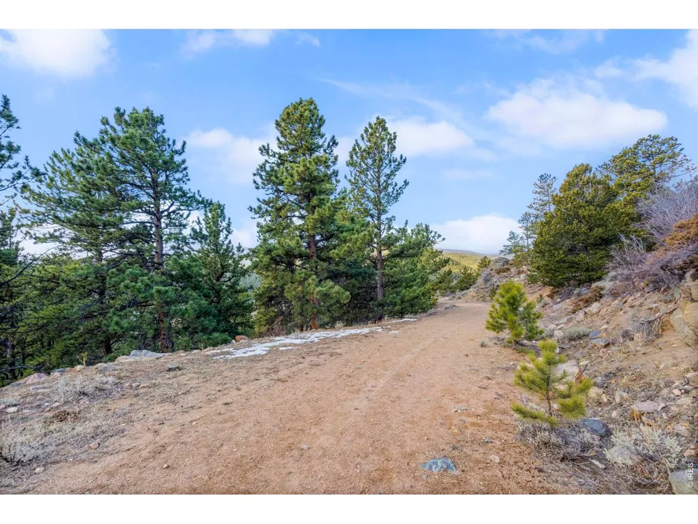 215 Murdock Drive Red Feather Lakes, CO 80545