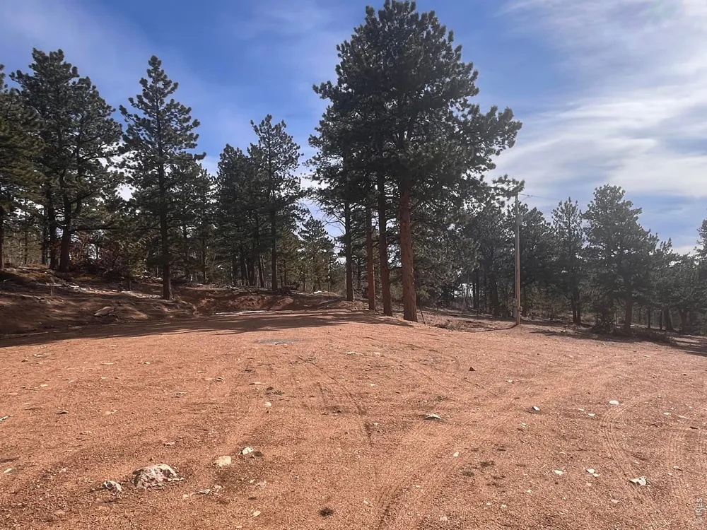 215 Murdock Drive Red Feather Lakes, CO 80545