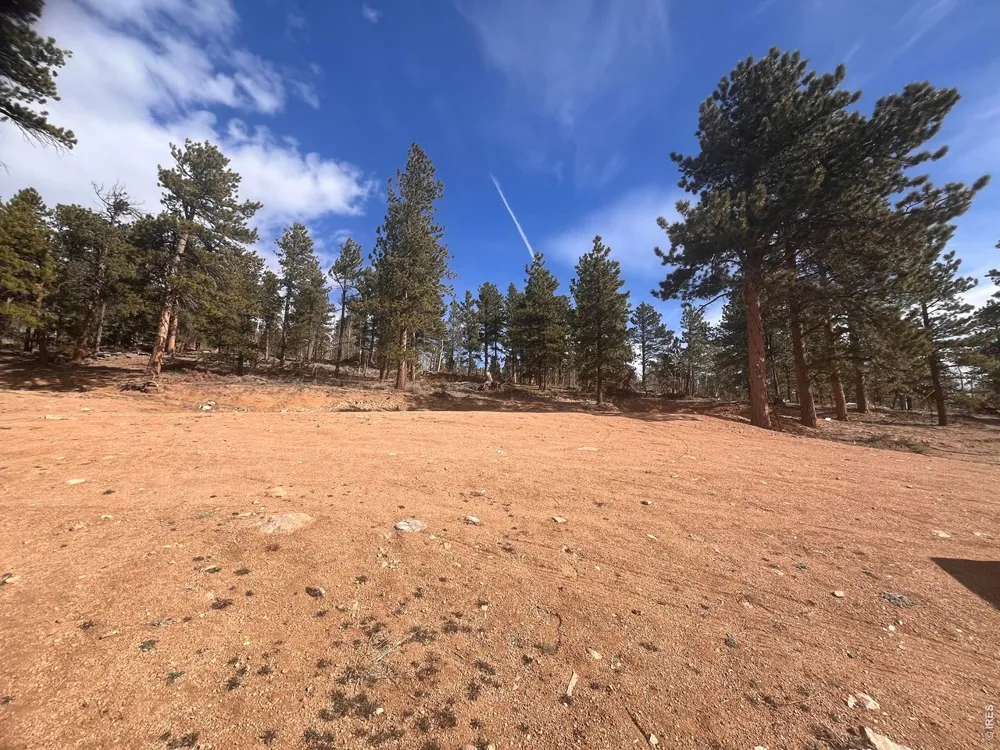 215 Murdock Drive Red Feather Lakes, CO 80545
