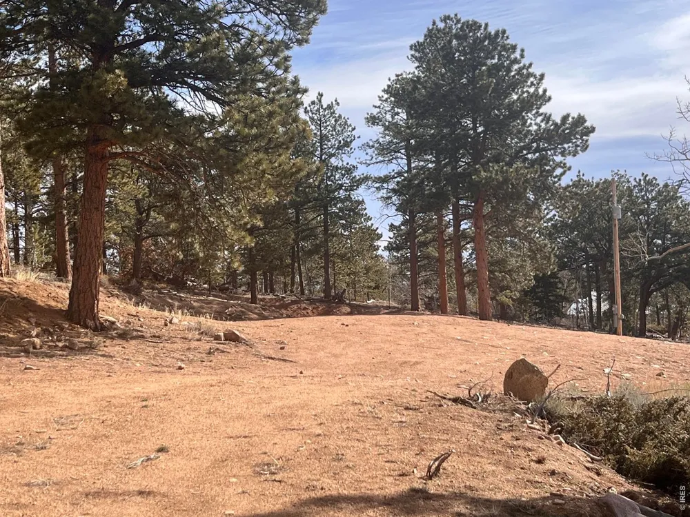 215 Murdock Drive Red Feather Lakes, CO 80545