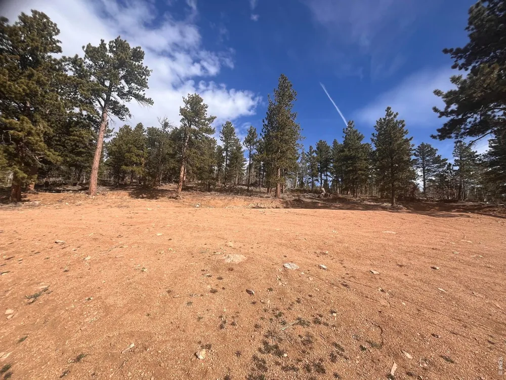 215 Murdock Drive Red Feather Lakes, CO 80545