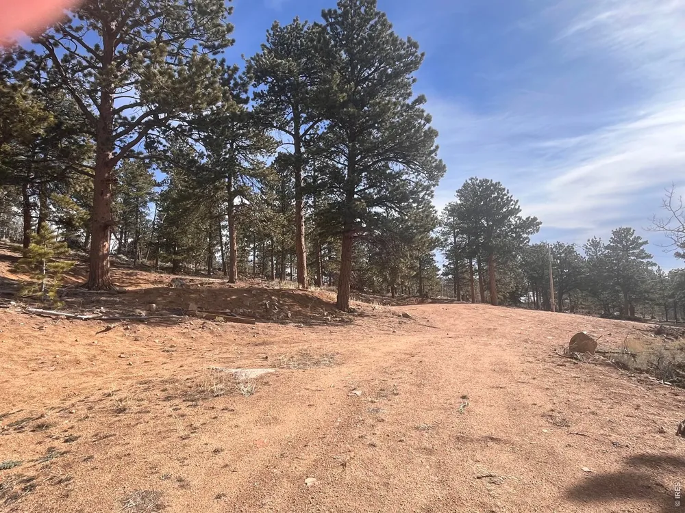 215 Murdock Drive Red Feather Lakes, CO 80545