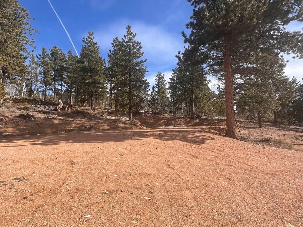 215 Murdock Drive Red Feather Lakes, CO 80545
