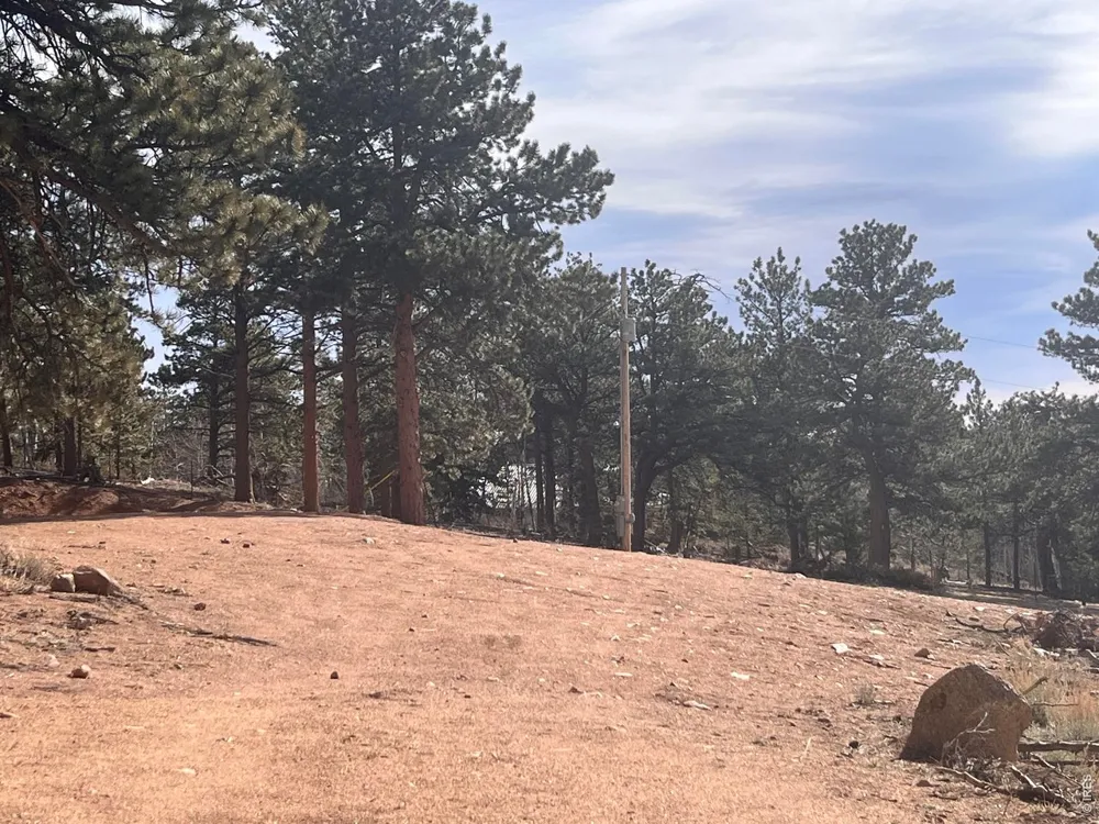 215 Murdock Drive Red Feather Lakes, CO 80545