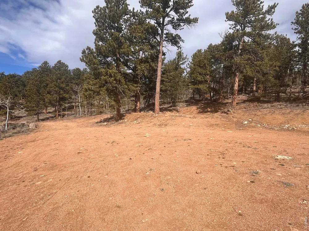 215 Murdock Drive Red Feather Lakes, CO 80545