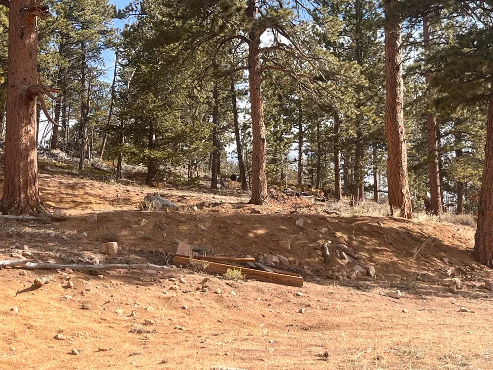 215 Murdock Drive Red Feather Lakes, CO 80545