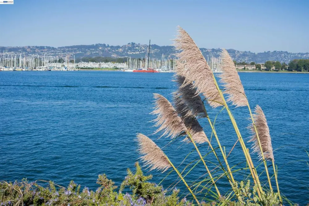 130 Lakeshore Ct Richmond, CA 94804