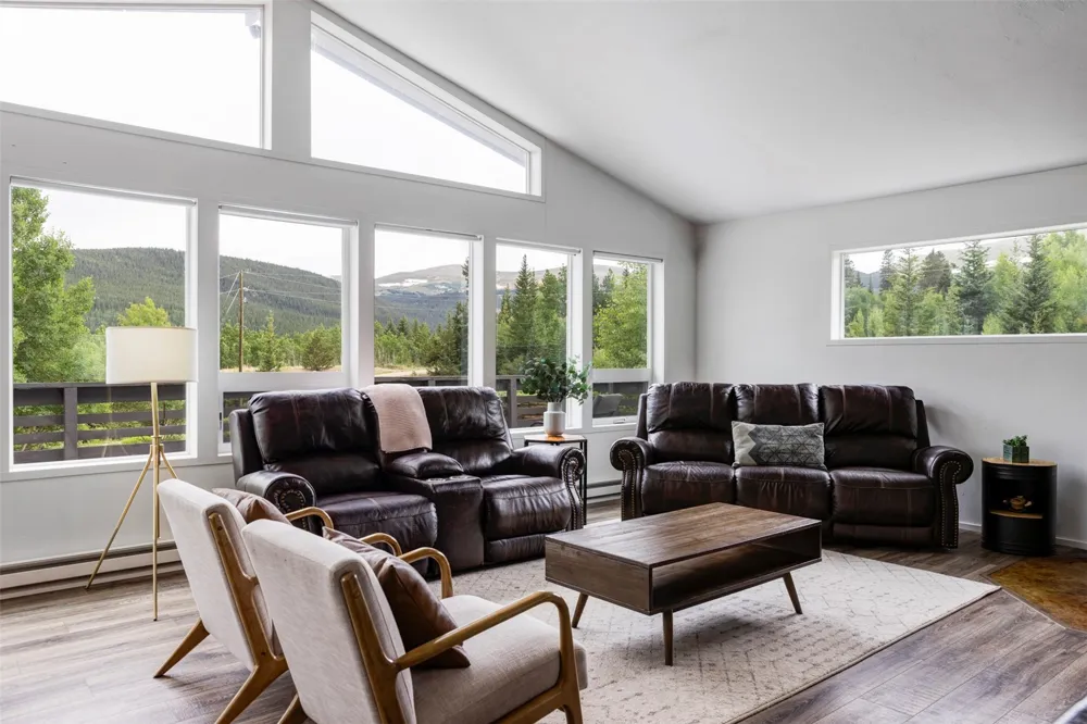 133 Gold Run Road Alma, CO 80440