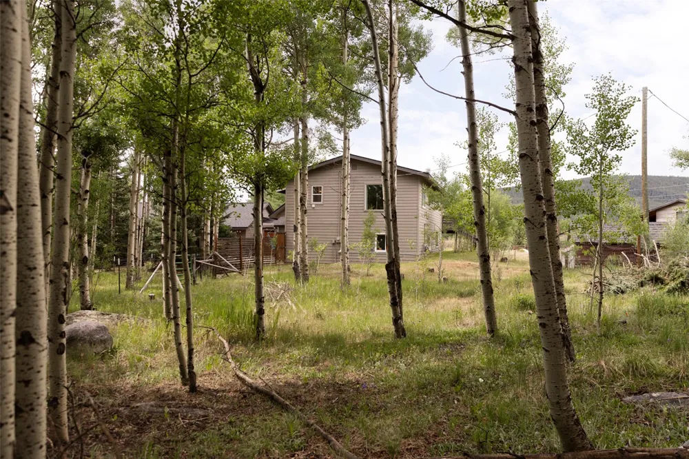 133 Gold Run Road Alma, CO 80440