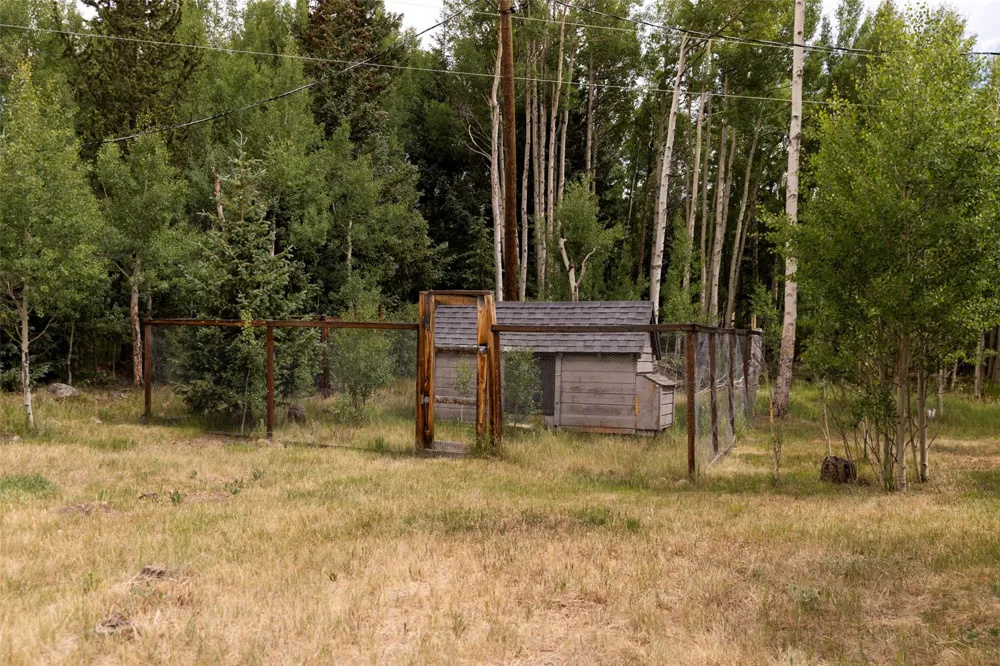 133 Gold Run Road Alma, CO 80440