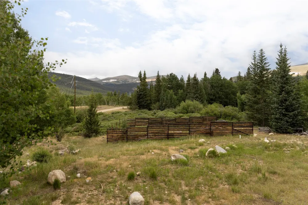 133 Gold Run Road Alma, CO 80440