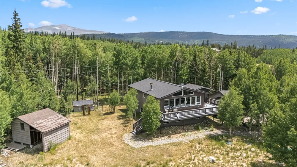 133 Gold Run Road Alma, CO 80440