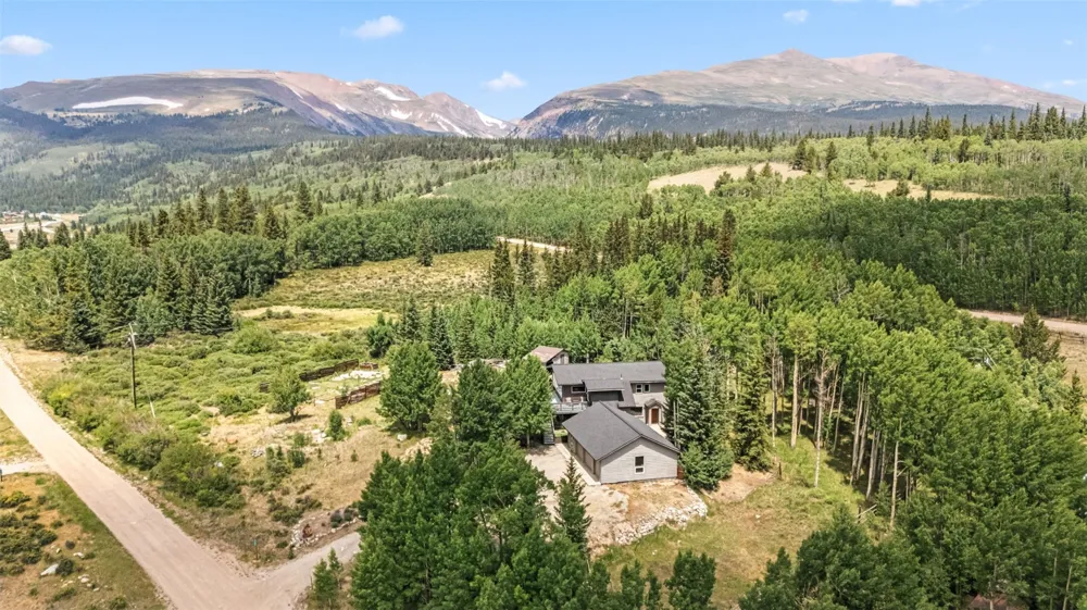 133 Gold Run Road Alma, CO 80440