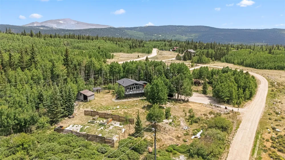 133 Gold Run Road Alma, CO 80440