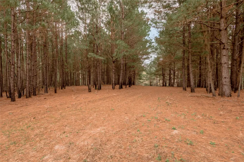 14254 Cr 2080 Crockett, TX 75835
