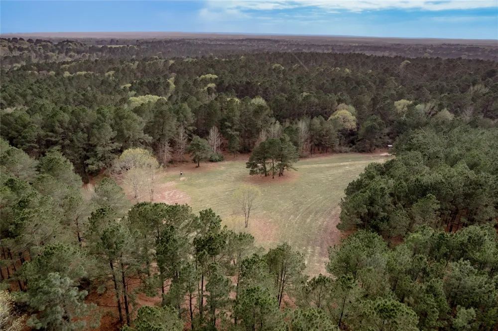 14254 Cr 2080 Crockett, TX 75835