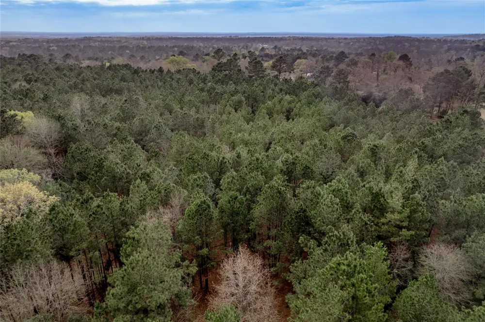 14254 Cr 2080 Crockett, TX 75835