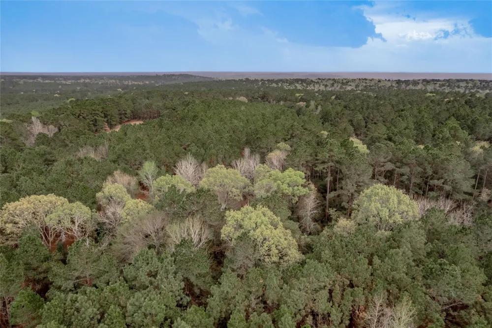 14254 Cr 2080 Crockett, TX 75835