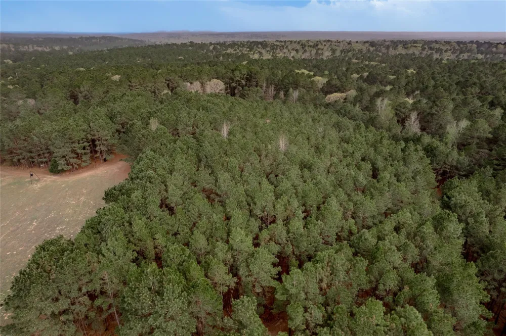 14254 Cr 2080 Crockett, TX 75835