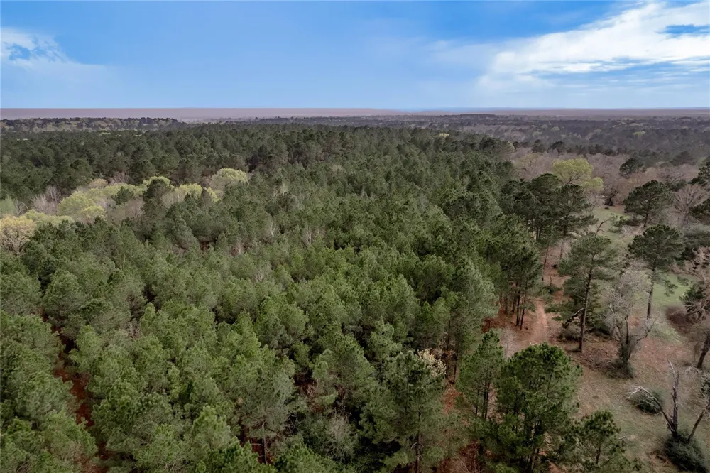 14254 Cr 2080 Crockett, TX 75835