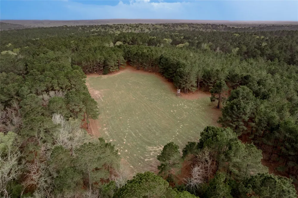 14254 Cr 2080 Crockett, TX 75835