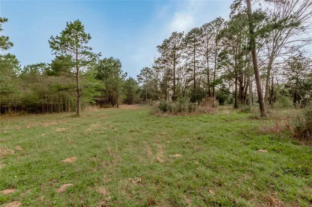 14254 Cr 2080 Crockett, TX 75835