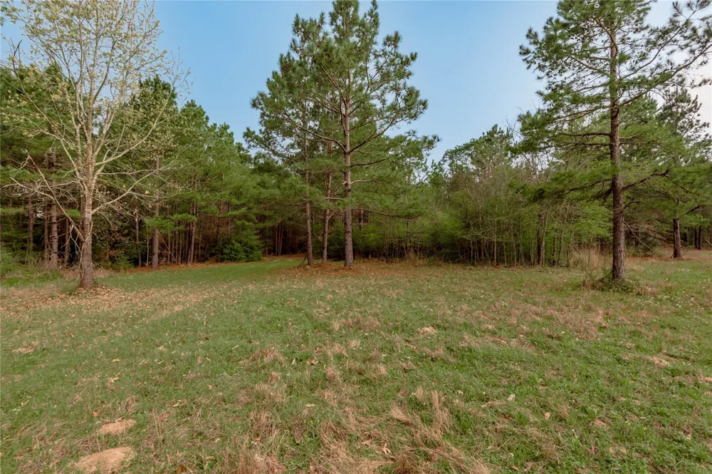 14254 Cr 2080 Crockett, TX 75835