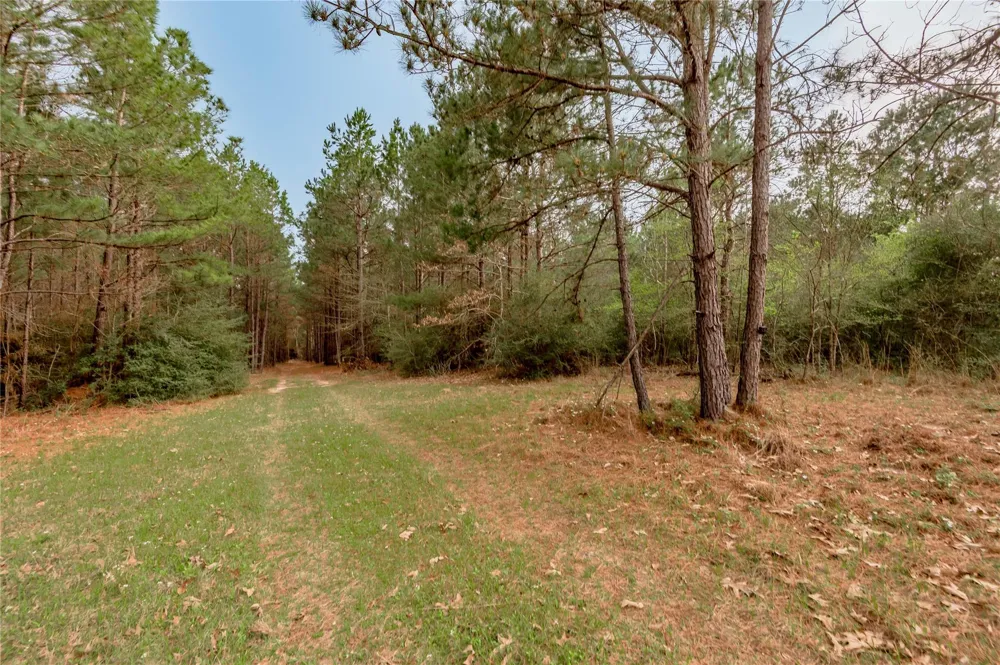 14254 Cr 2080 Crockett, TX 75835