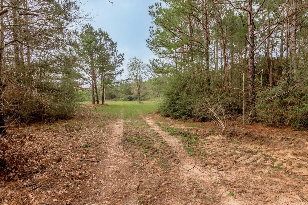 14254 Cr 2080 Crockett, TX 75835