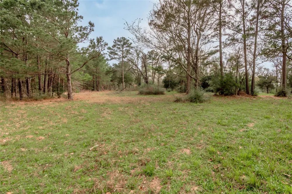 14254 Cr 2080 Crockett, TX 75835