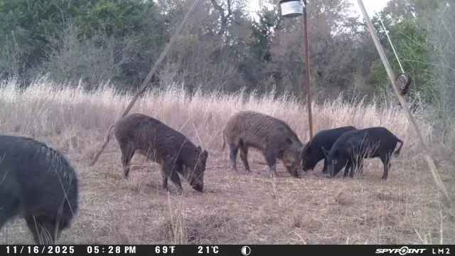 Highway 84 Mexia, TX 76667