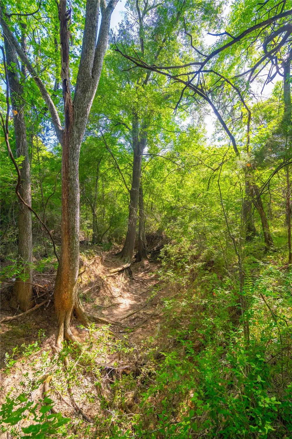Highway 84 Mexia, TX 76667
