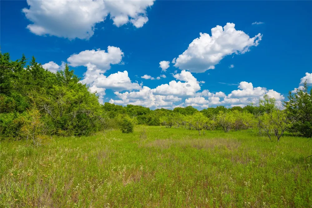 Highway 84 Mexia, TX 76667